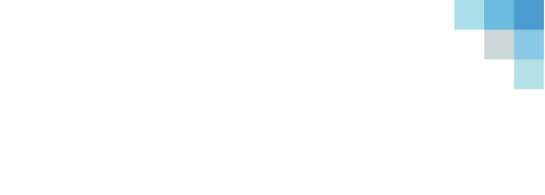 Logo DronEng